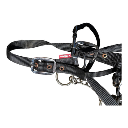 LeMieux ProSafe Headcollar - full size
