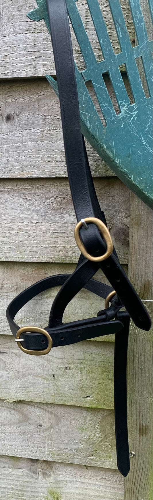 Black leather brass buckle Shetland/mini size filly slip