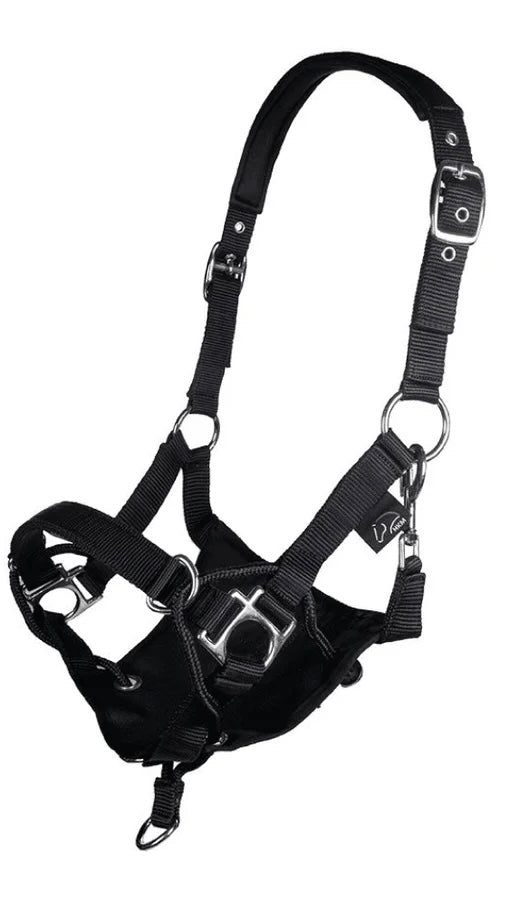 Cob size Hkm safe control headcollar