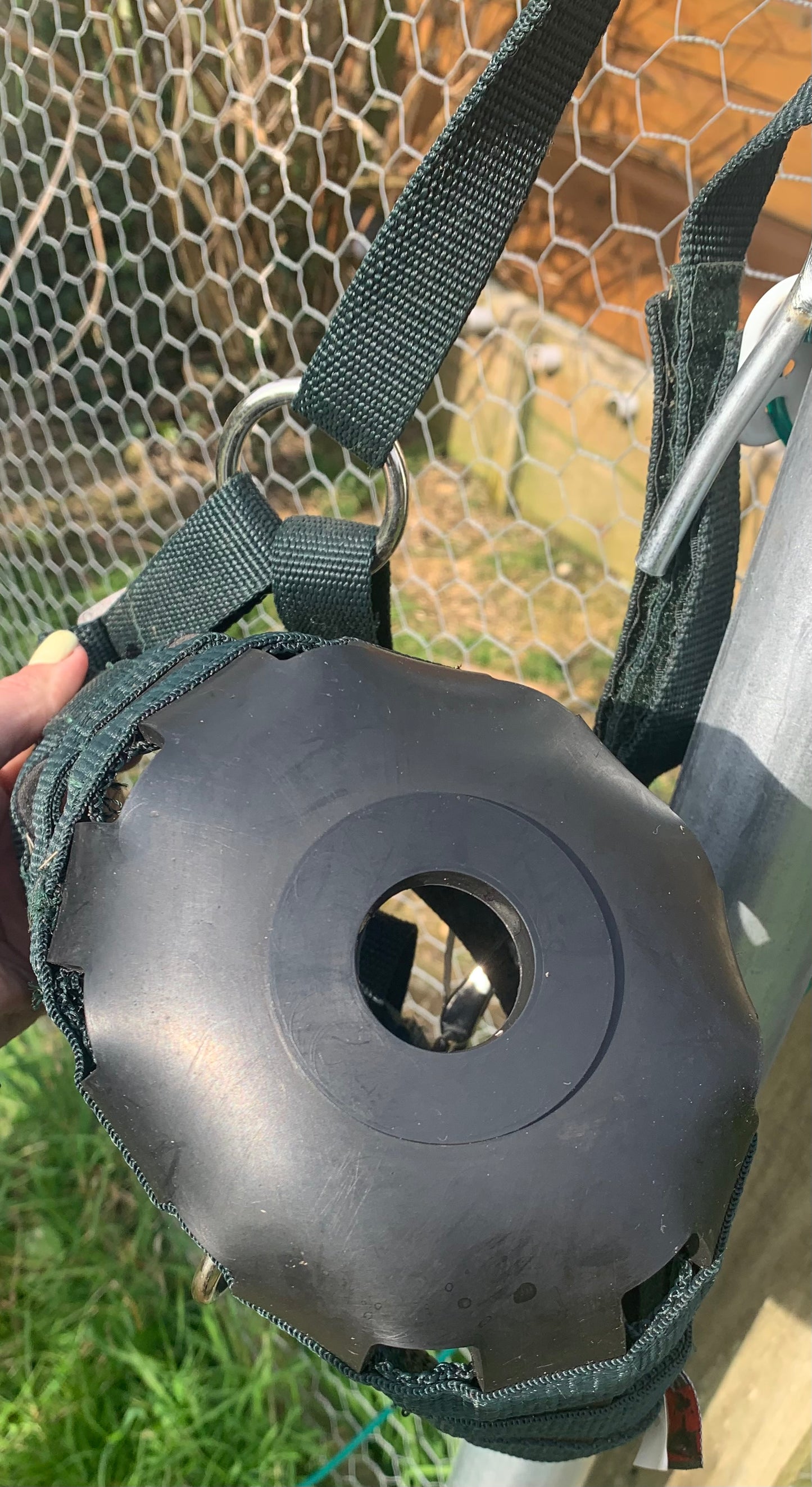 Green aerborne grazing muzzle pony size
