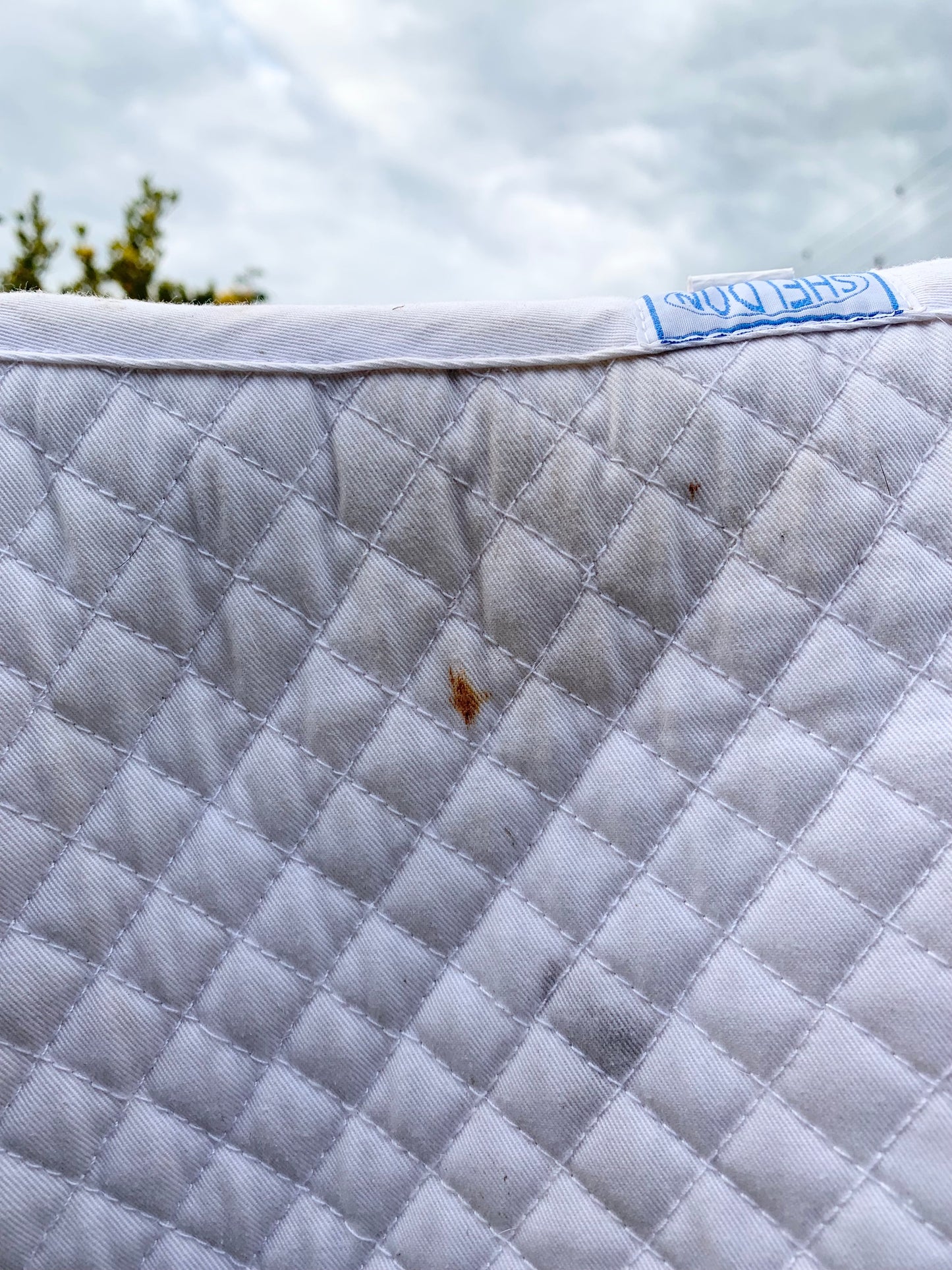 Sheldon White fluffy fleece numnah size large