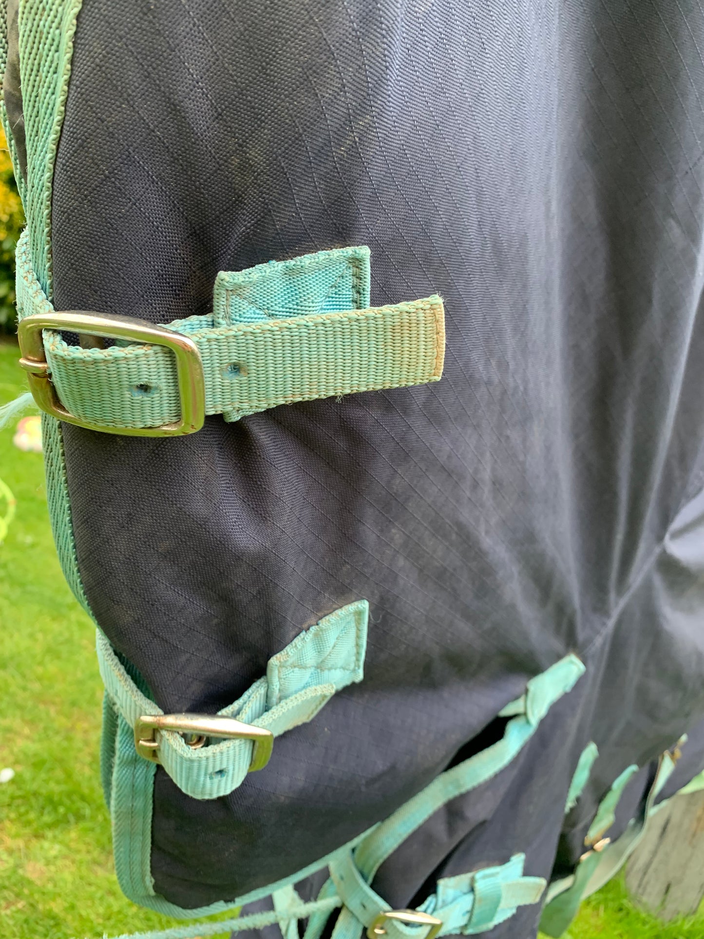 Gallop 5’6 medium weight combo turnout