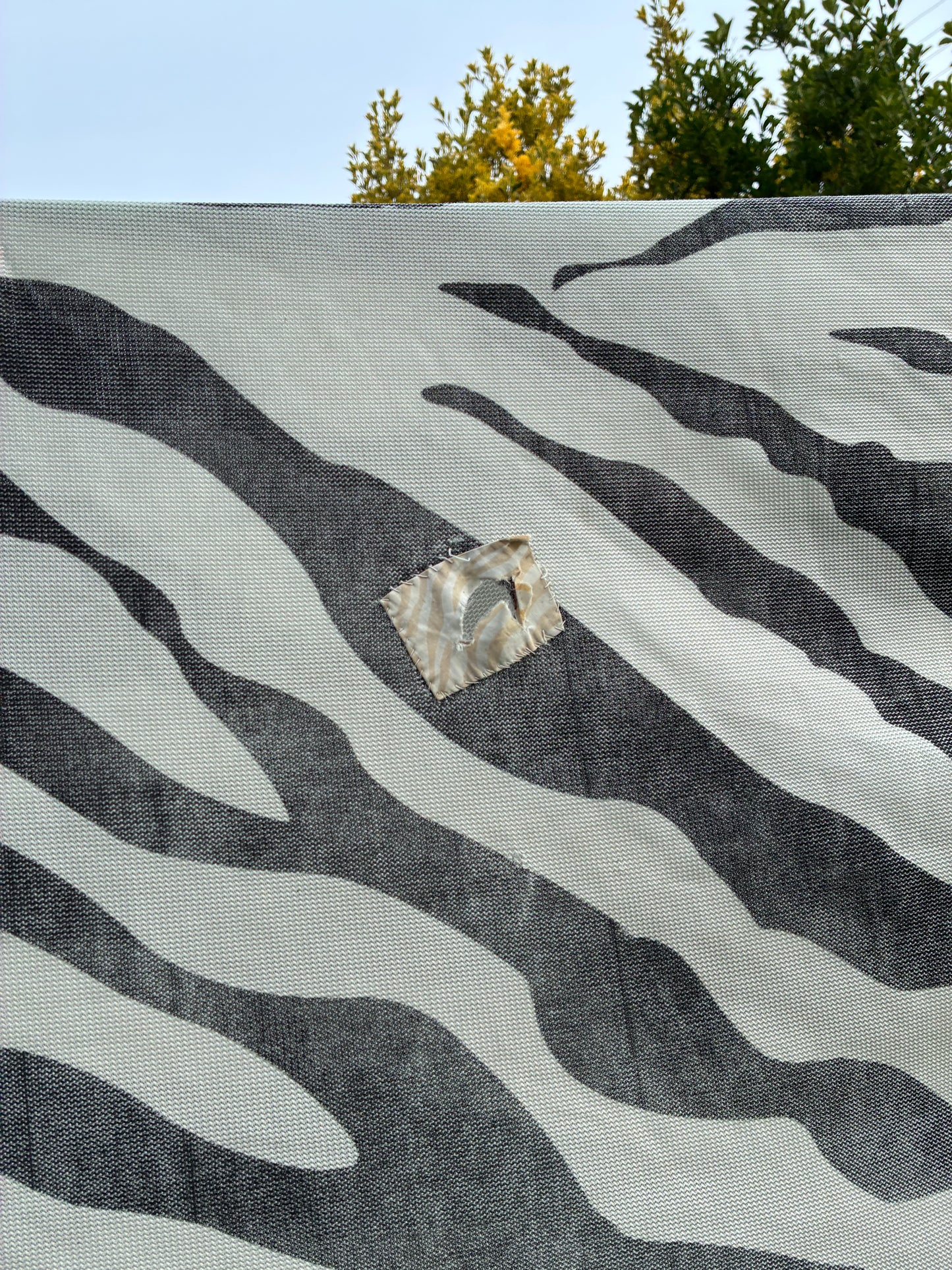 5’9 Bucas Buzz-Off Zebra Fly Rug