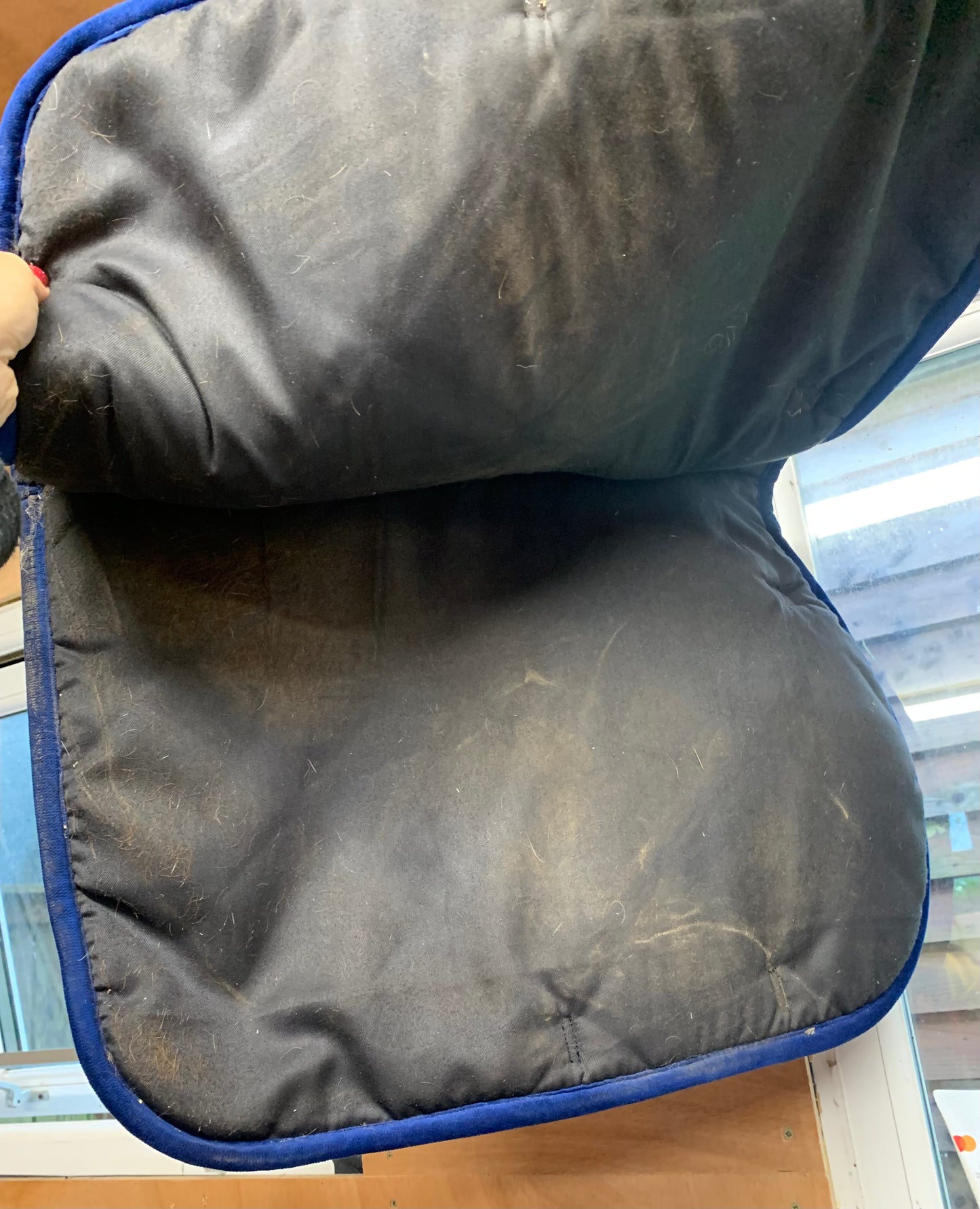 Royal blue velour Whitaker saddle pad cob/full (21” in length)