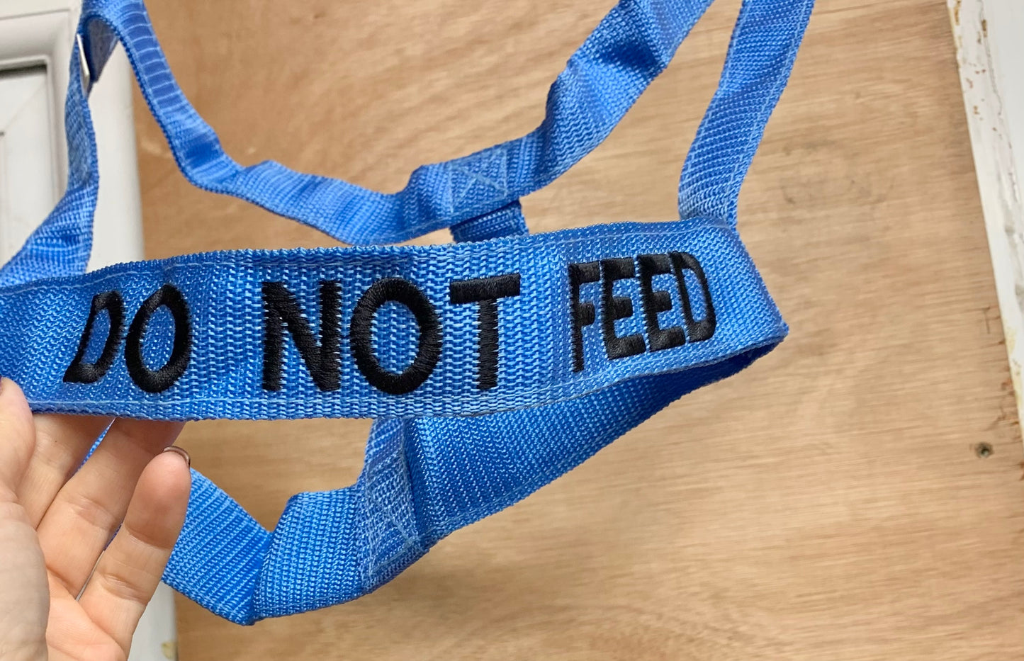 NEW “DO NOT FEED” VELCRO CLOSURE FIELD SAFE HEADCOLLAR PONY SIZE BLUE