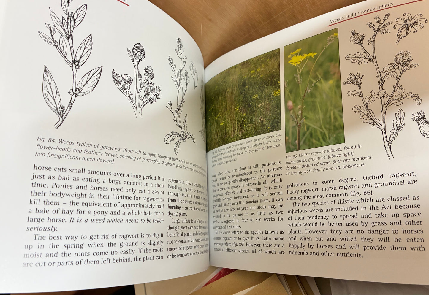 New - The Pony Club Guide to Pasture Management Book