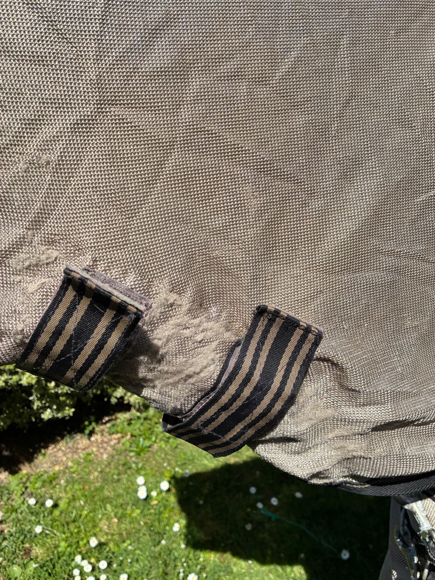 6’6 kadence combo mesh fly rug with belly protection