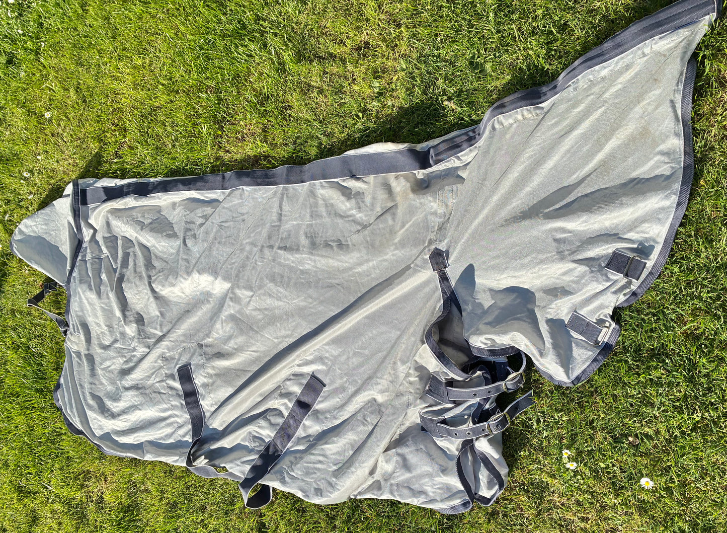 Shires tempest combo fly rug 5’0