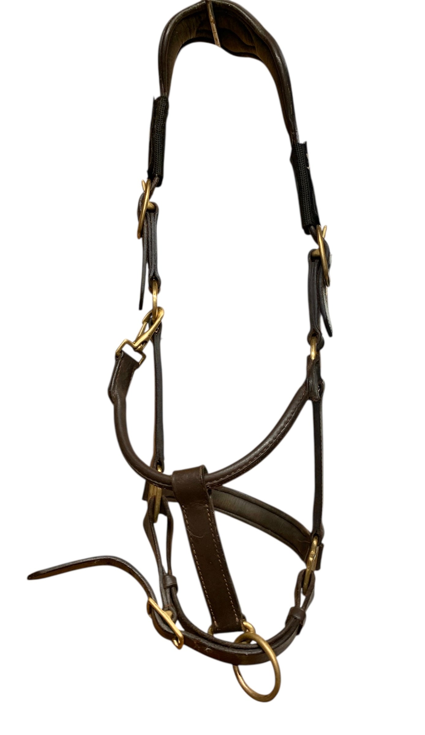 Brown padded leather brass buckle headcollar  with magnets - pony size