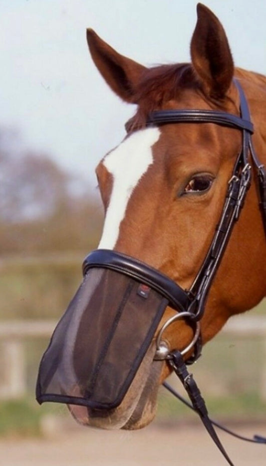 New black Aerborn nose shield small pony