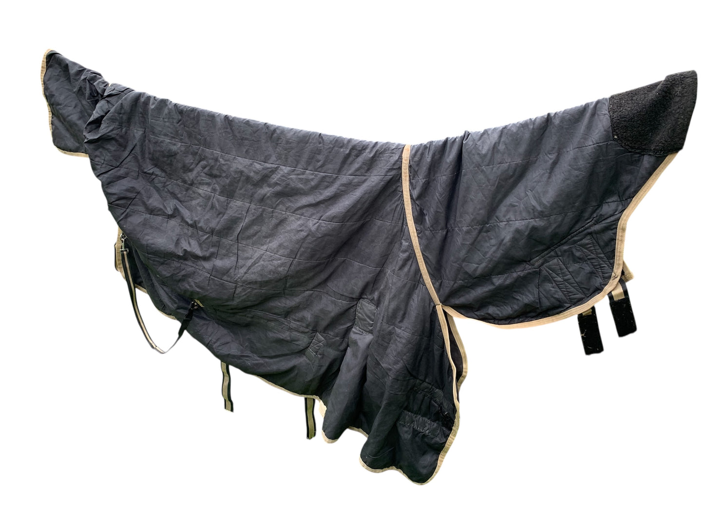 6’0” kandence appprox light to medium combo turnout rug