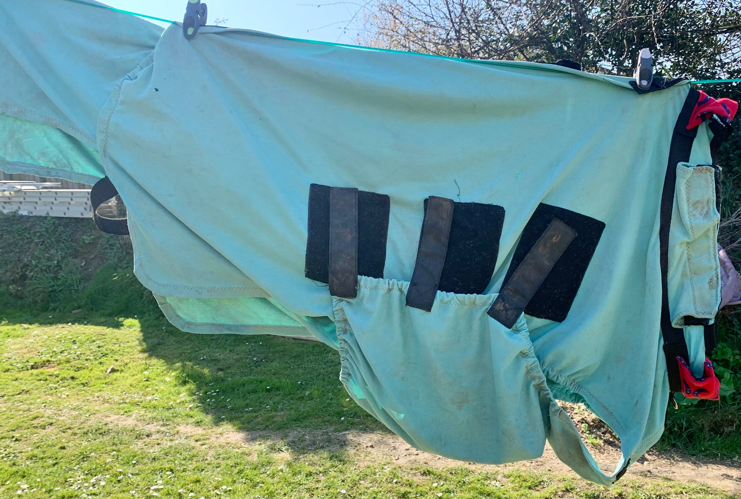 4’6 snuggy hoods sweet itch bug rug