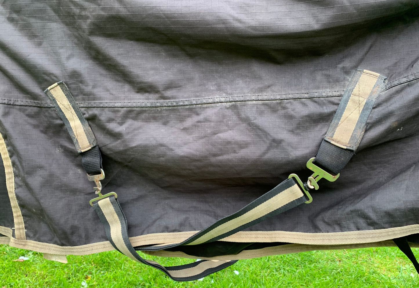 6’0” kandence appprox light to medium combo turnout rug