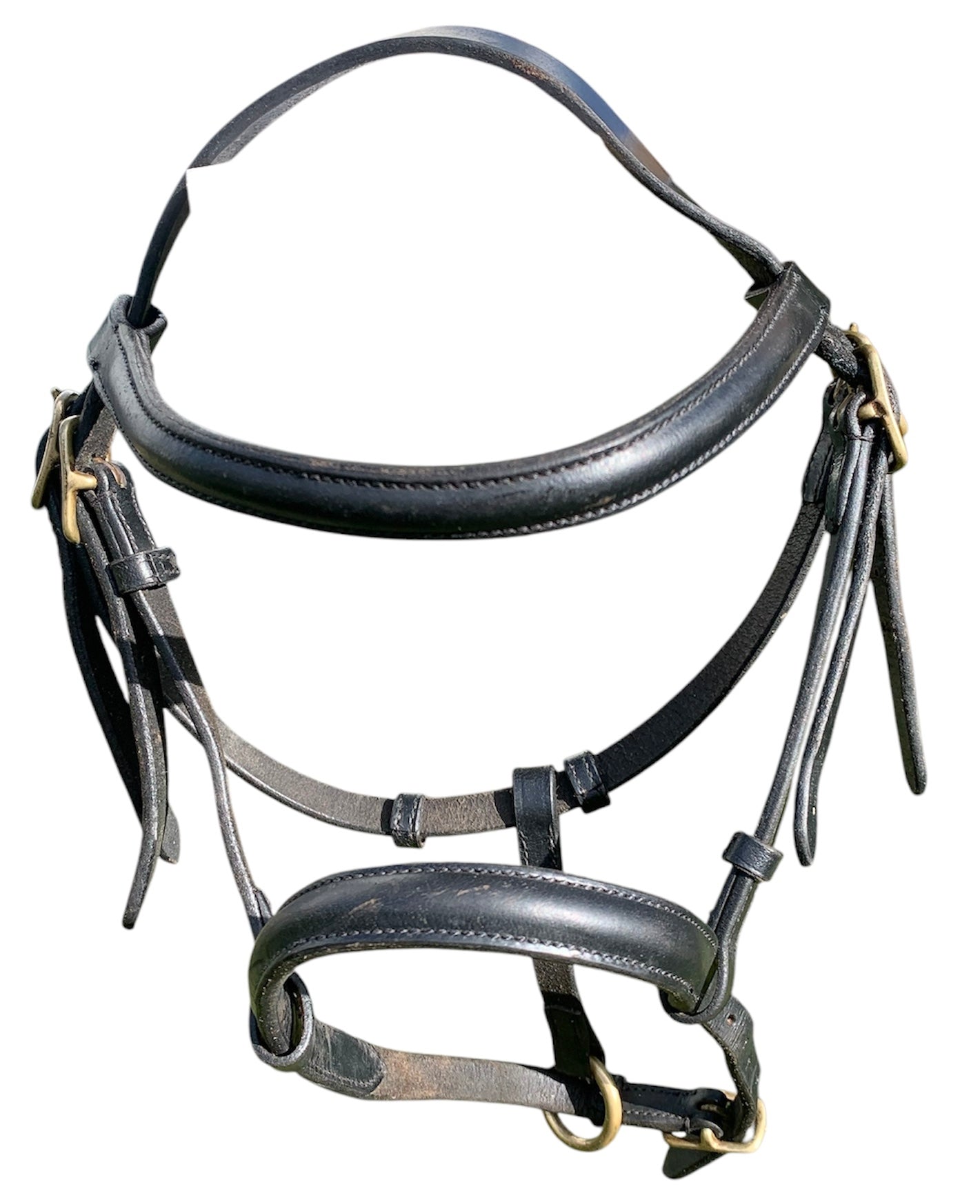 Black leather foal slip with brass buckles