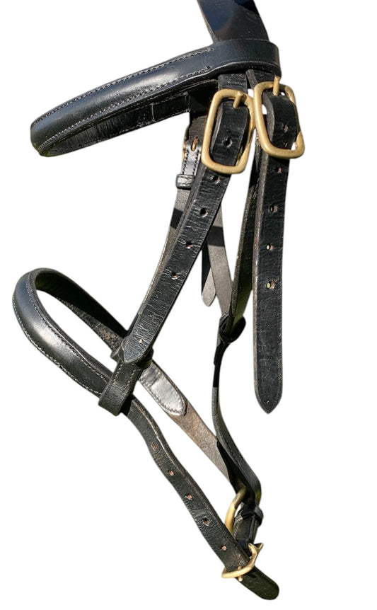 Black leather foal slip with brass buckles
