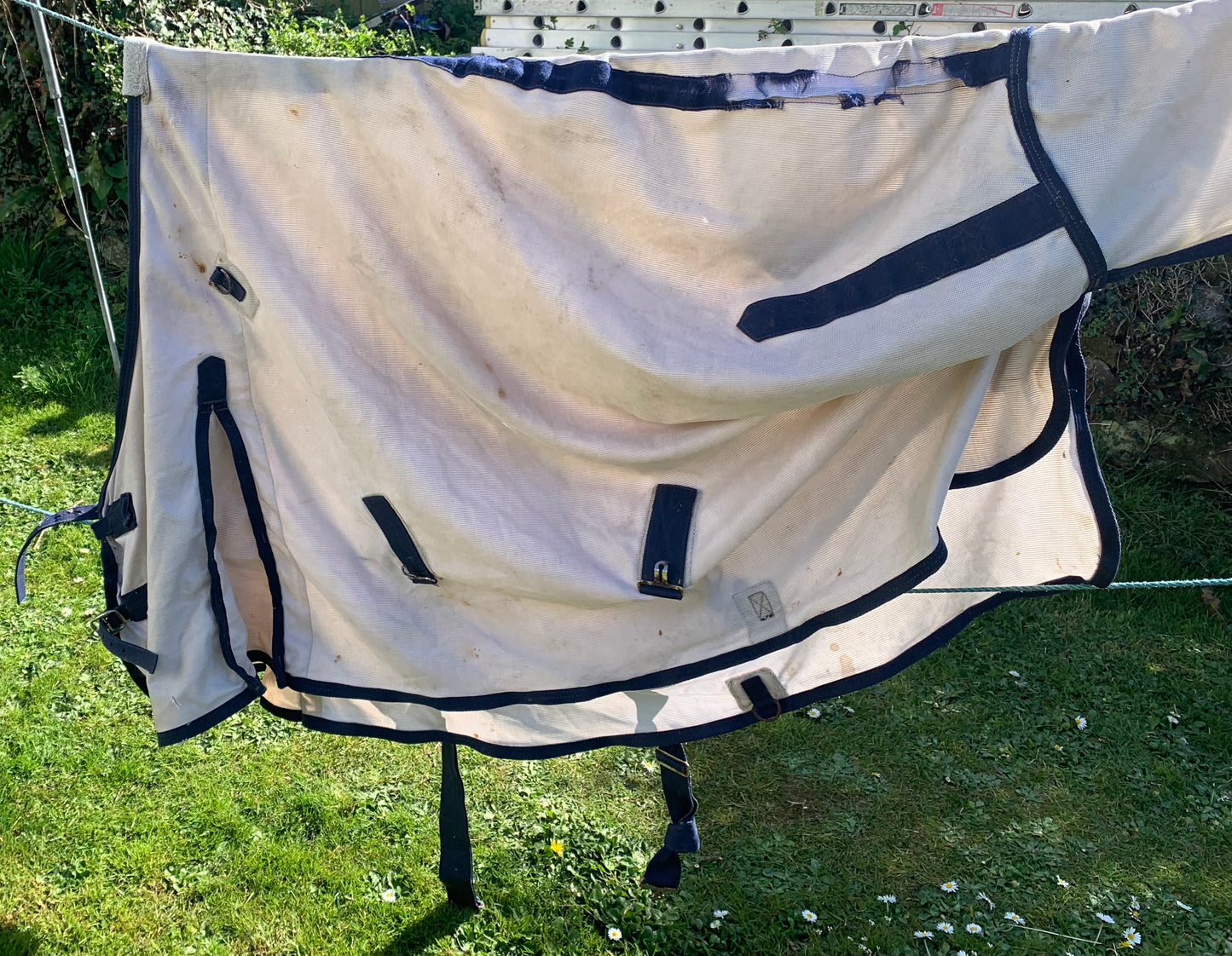 5’6 Cheap fly rug ideal for youngsters/rug destroyers!