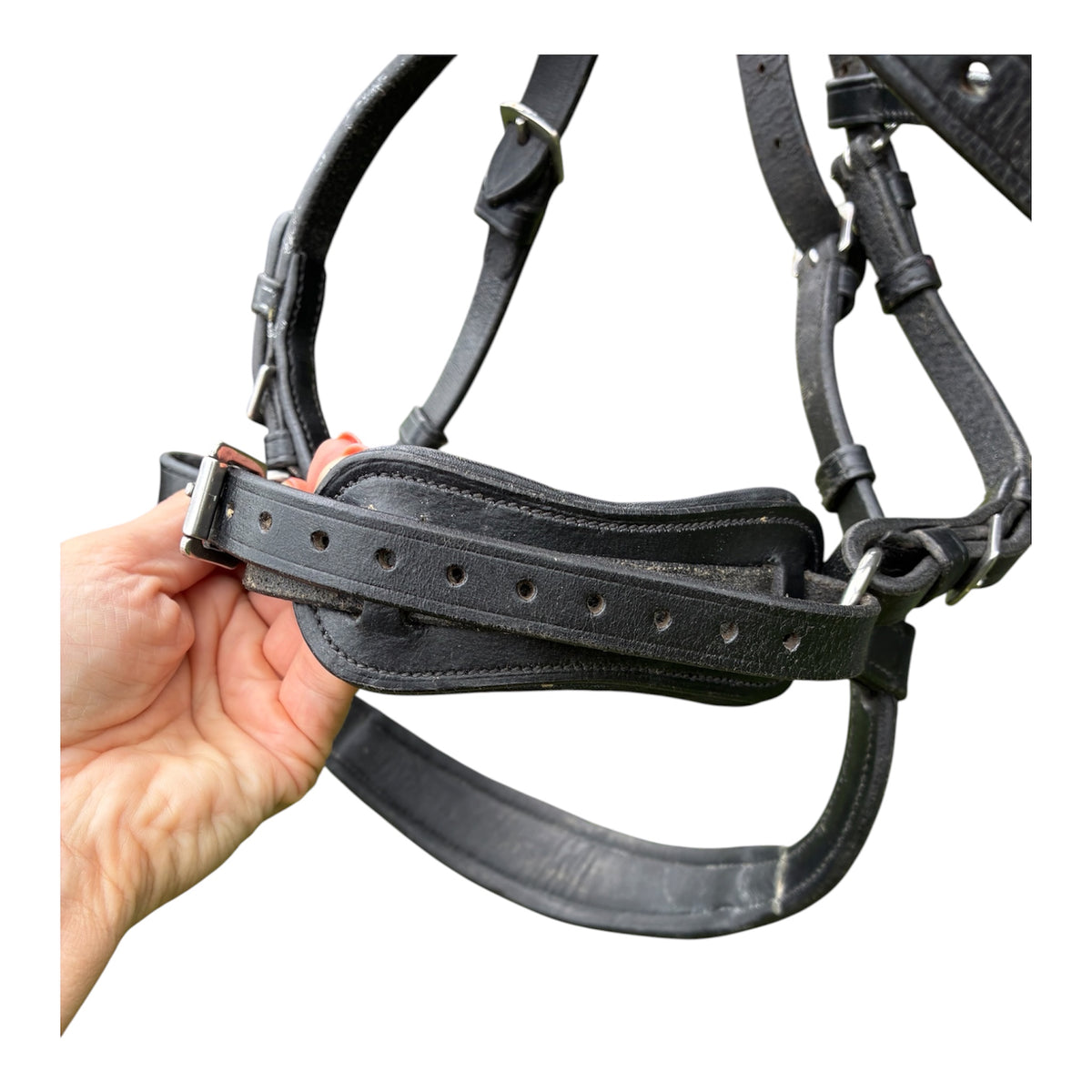 Horsemanship saddlery/Benz equestrian black cob size  anatomical leather bridle