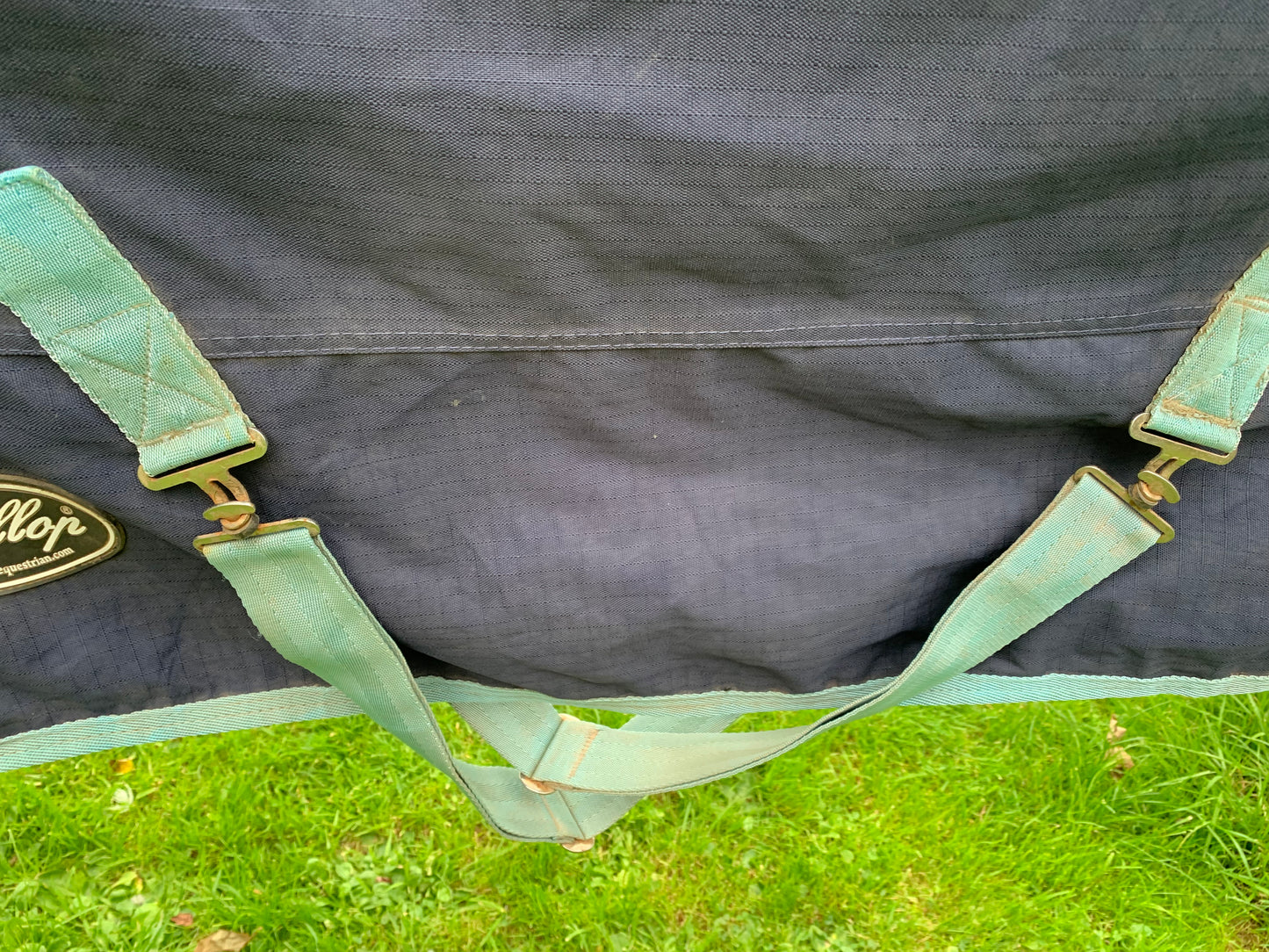 Gallop 5’6 medium weight combo turnout