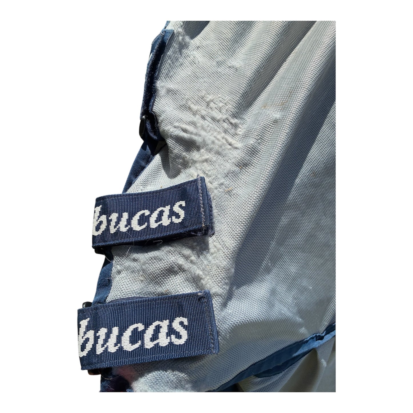 6’0 Bucas Buzz-off Fly Rug with Full Neck