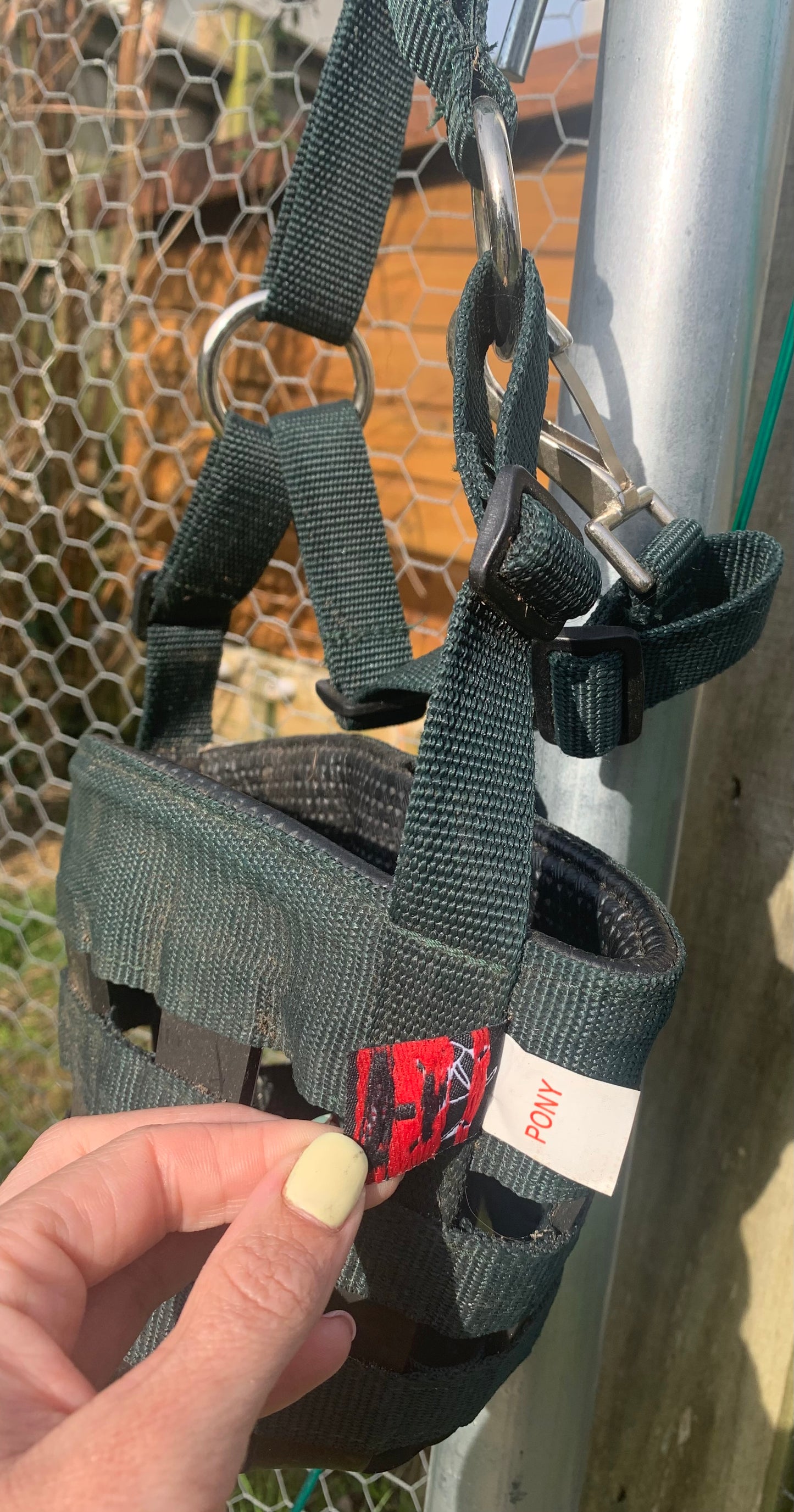 Green aerborne grazing muzzle pony size