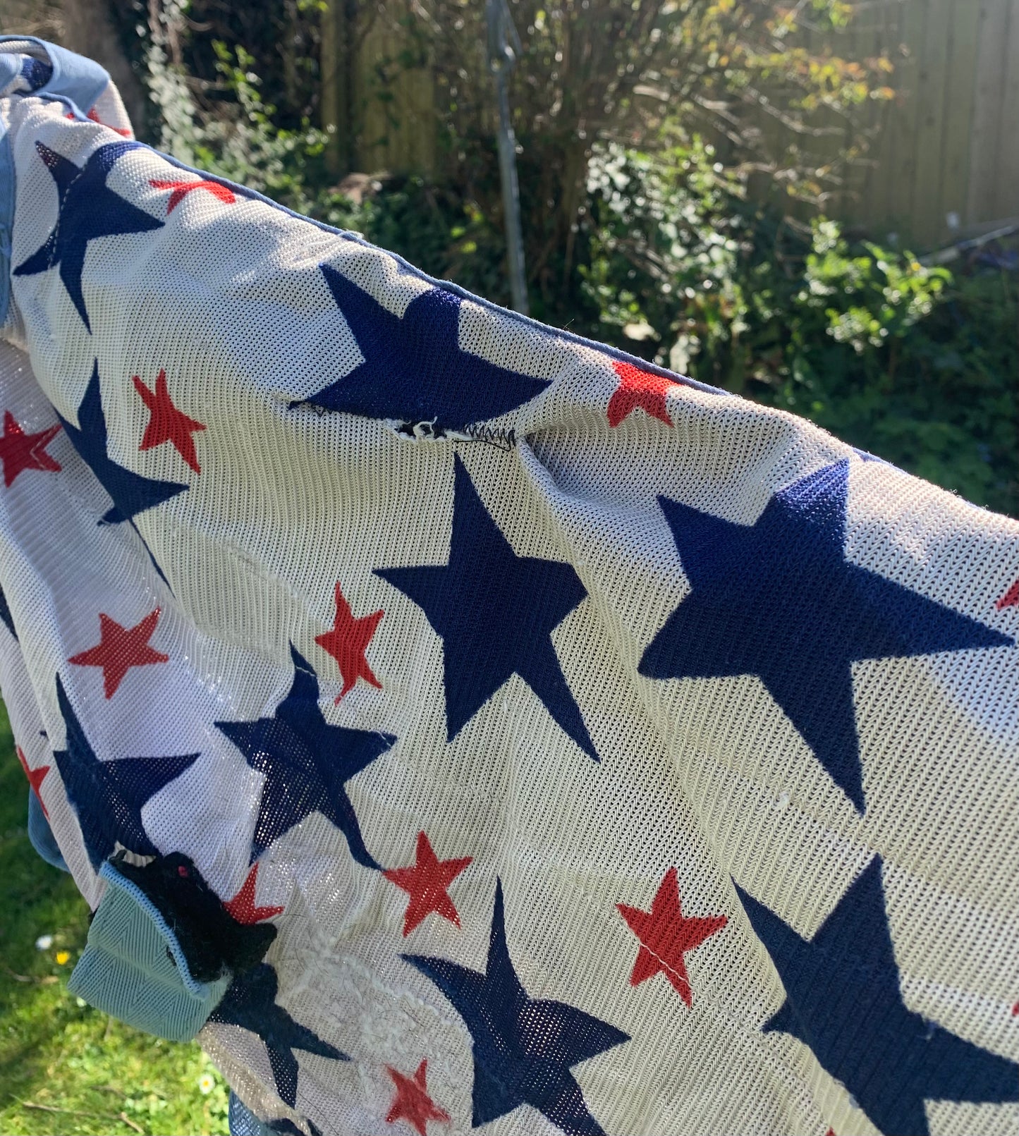 4’6 combo fly rug star print