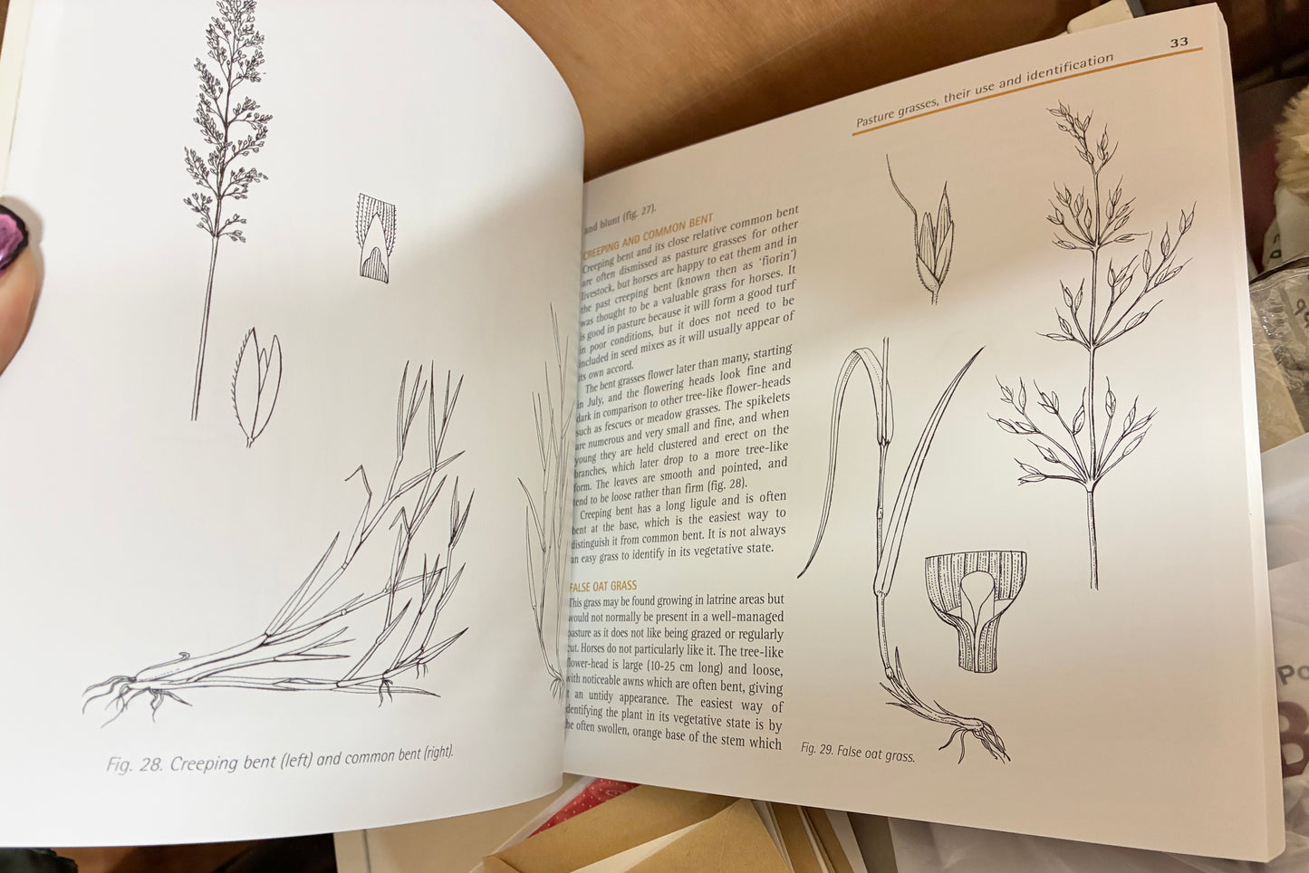 New - The Pony Club Guide to Pasture Management Book