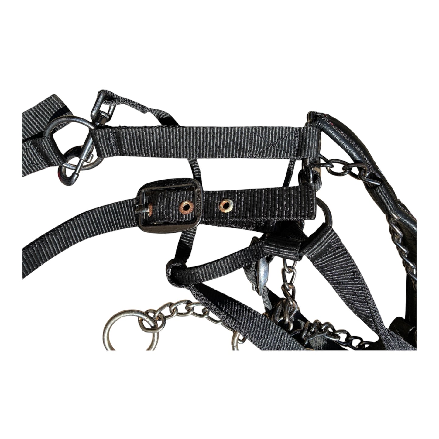 LeMieux ProSafe Headcollar - full size