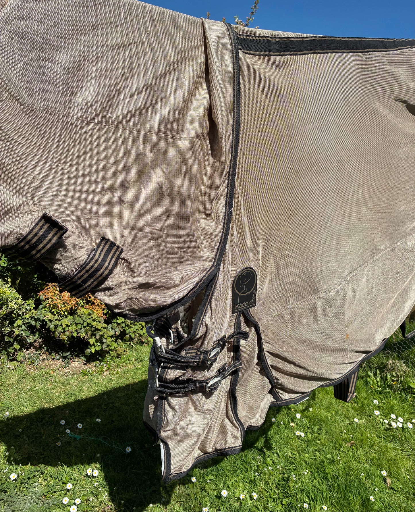 6’6 kadence combo mesh fly rug with belly protection