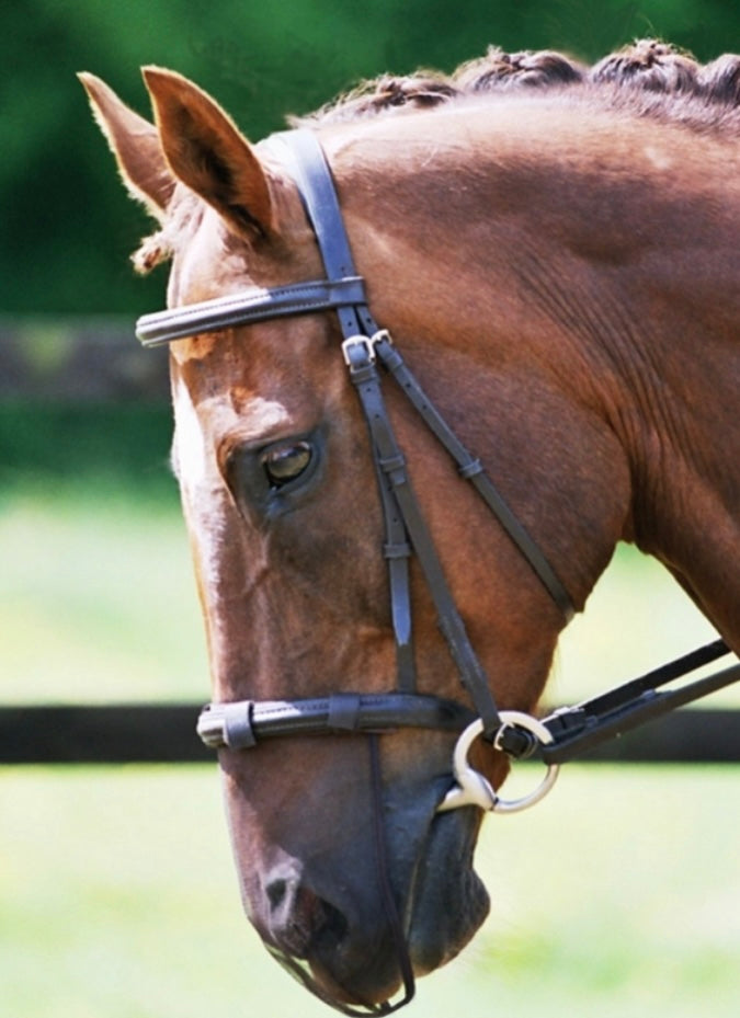 New in pack equilibrium nose net brown extra large nose attachment with 2 extra nets