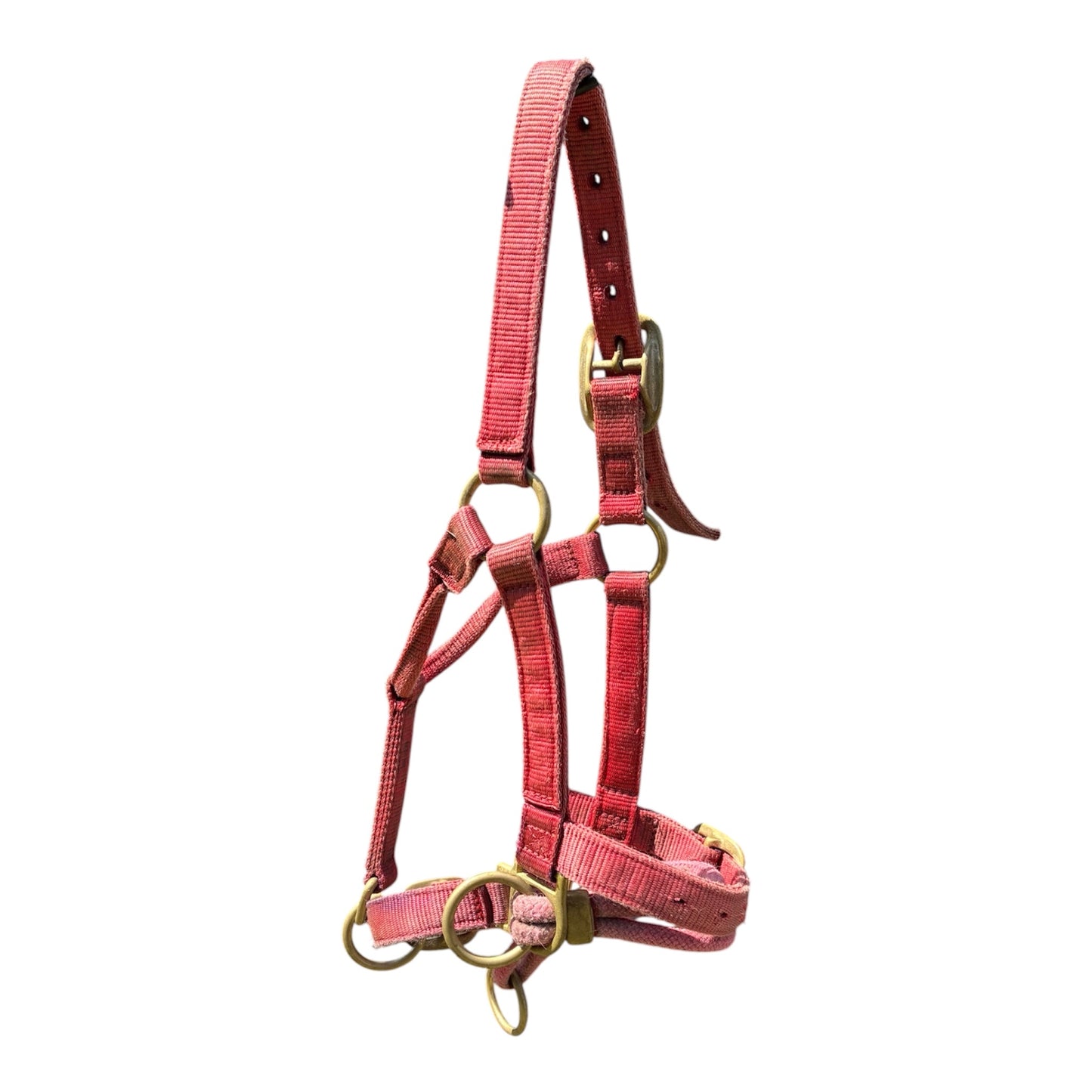 OFFICIAL MONTY ROBERTS DUALLY RED (SMALL SIZE)