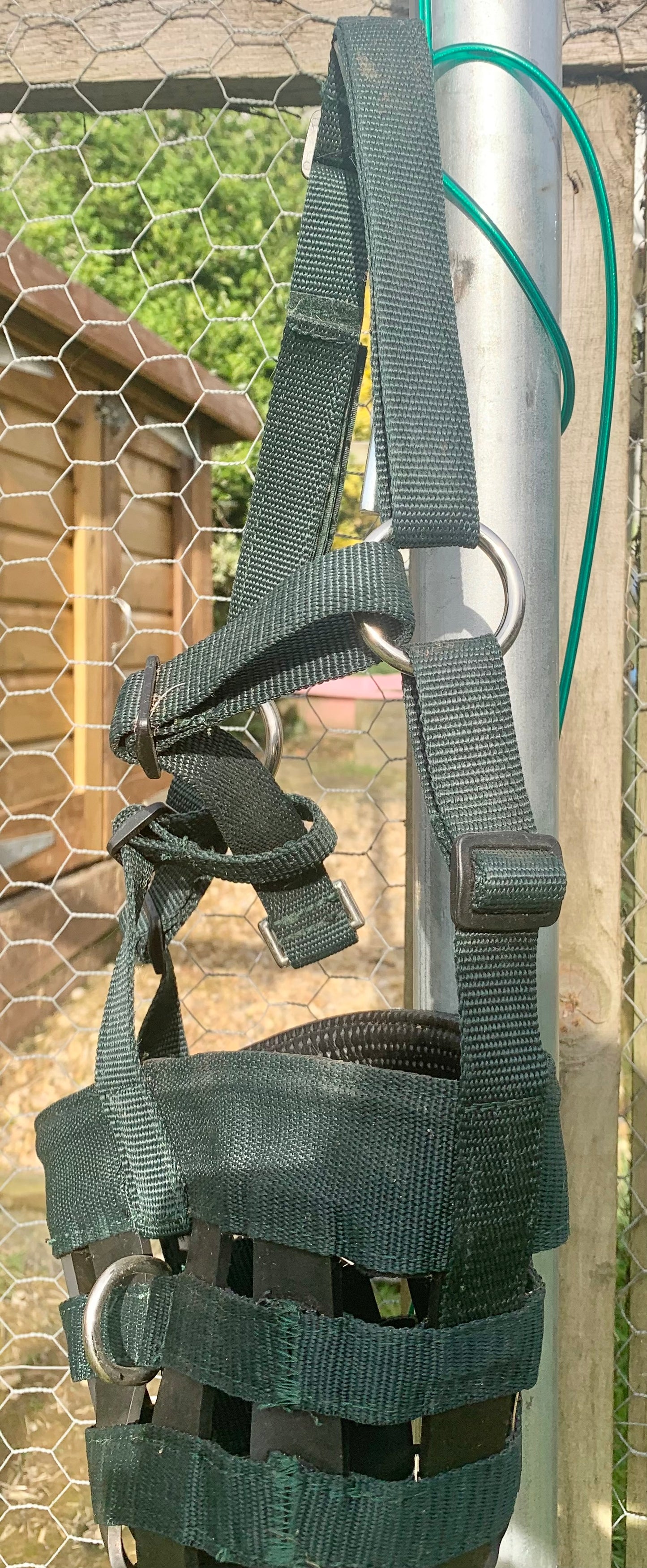 Green aerborne grazing muzzle pony size