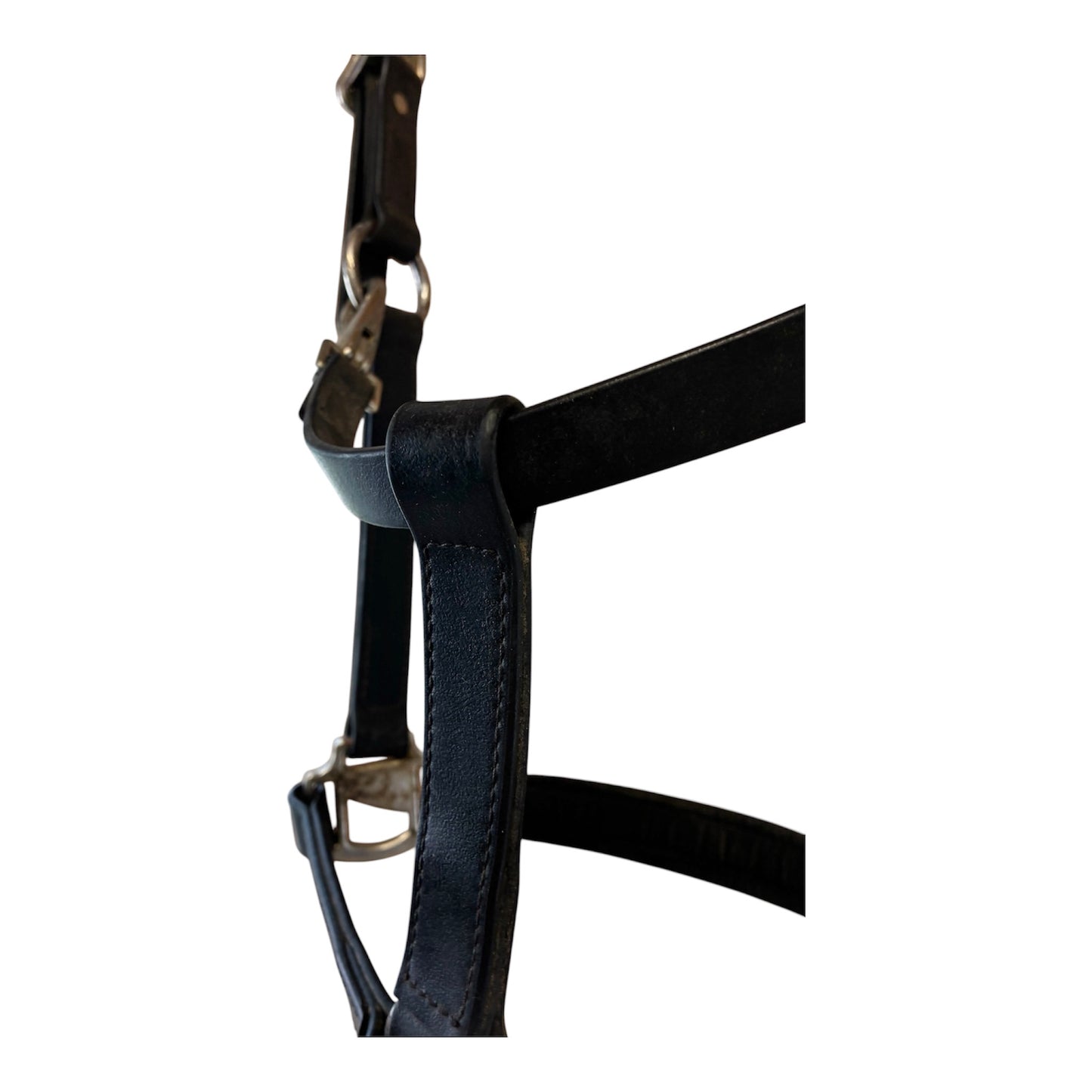 Tekna full size breakaway headcollar black