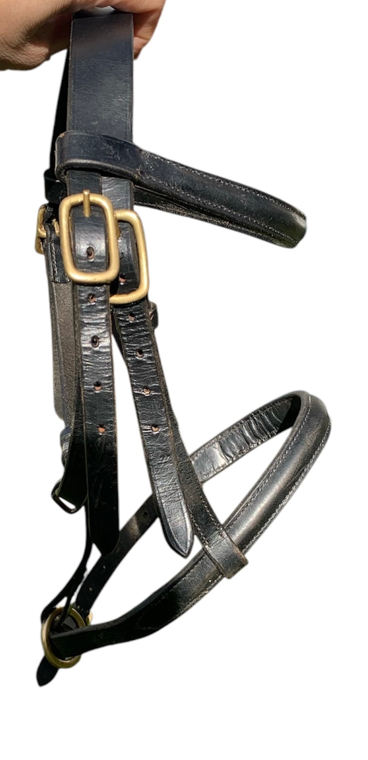 Black leather foal slip with brass buckles