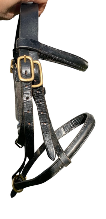 Black leather foal slip with brass buckles