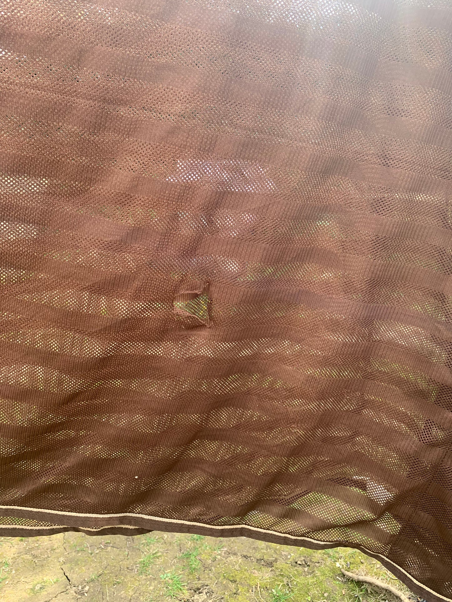 Hkm brown cooler scrim sheet rug 6’3