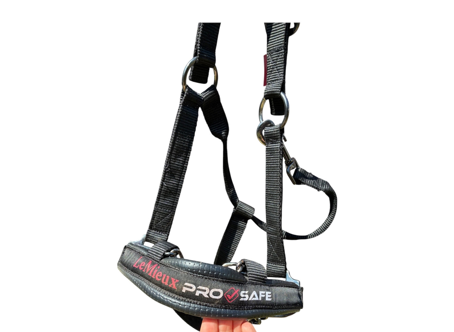 LeMieux ProSafe Headcollar - full size