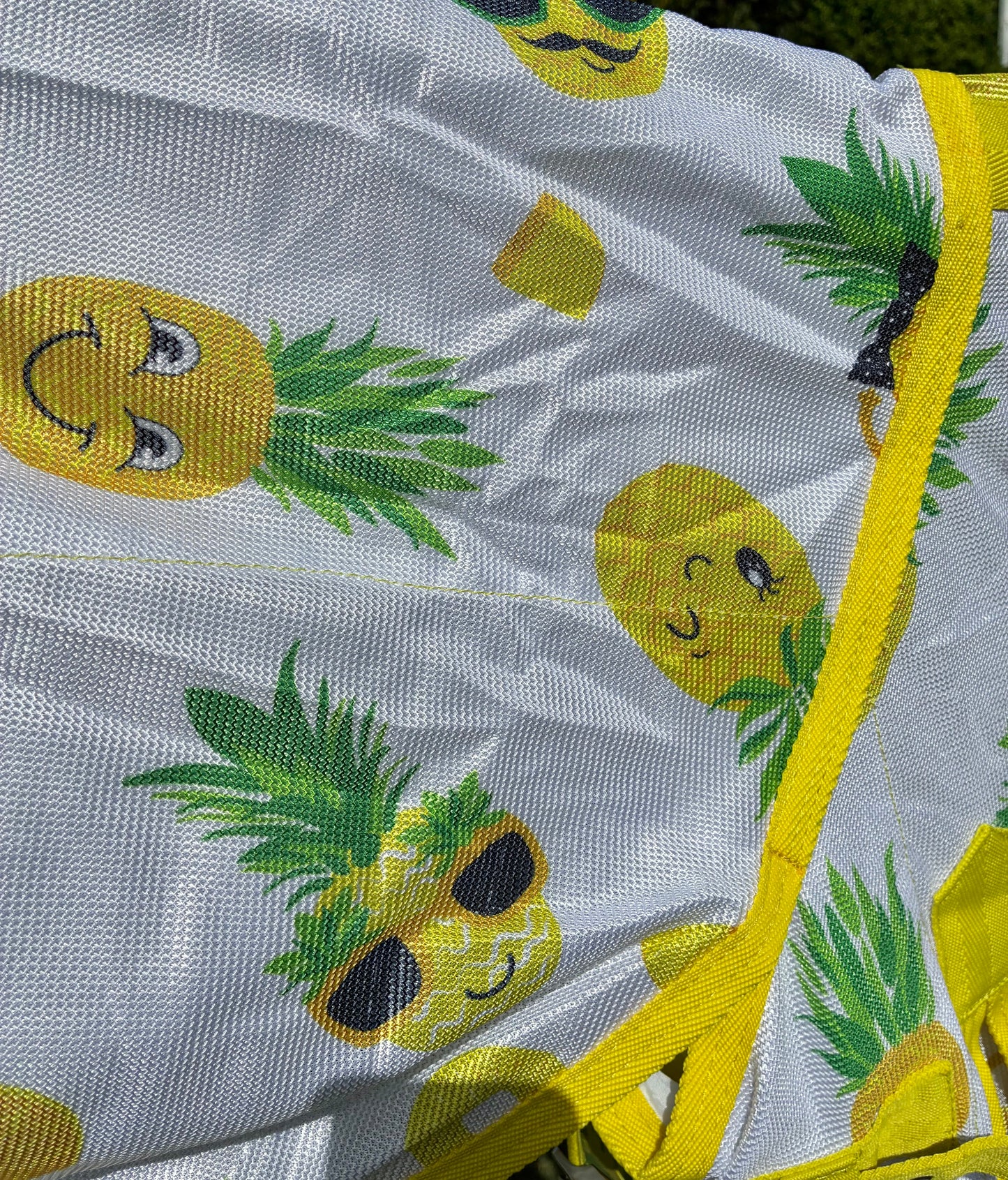 New! Ponyo happy pineapple 🍍 fly rug 3’0