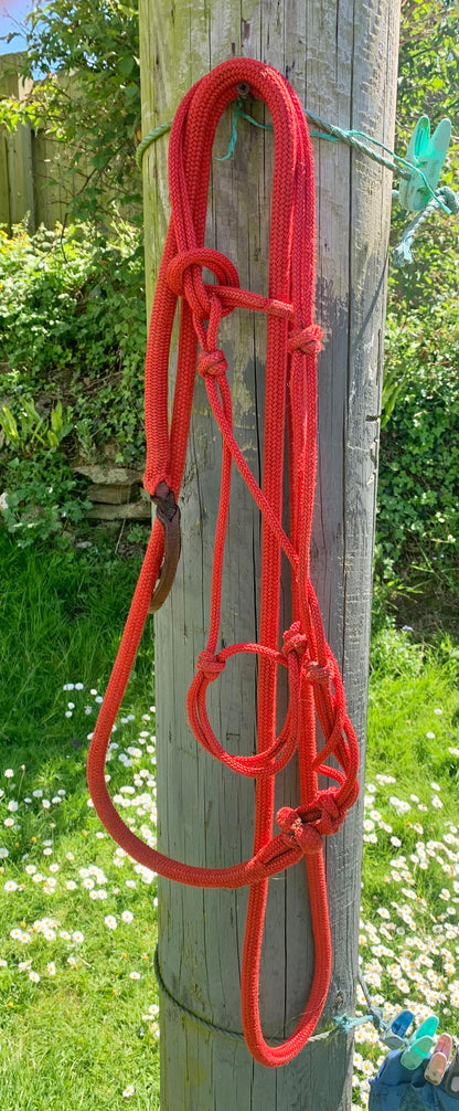 Red parelli halter and lead set