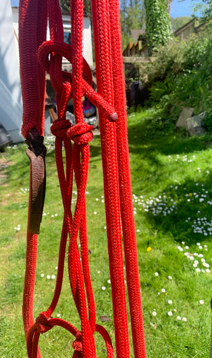Red parelli halter and lead set