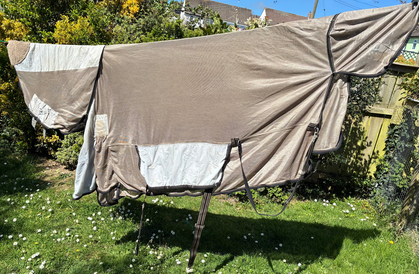 6’6 kadence combo mesh fly rug with belly protection