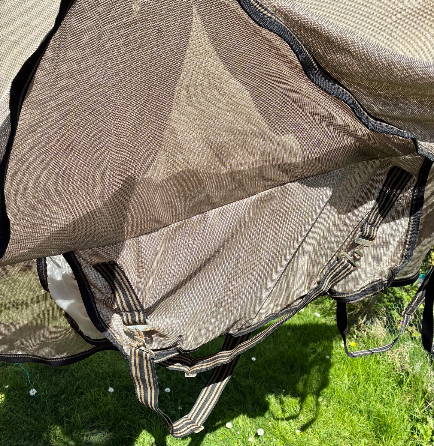 6’6 kadence combo mesh fly rug with belly protection