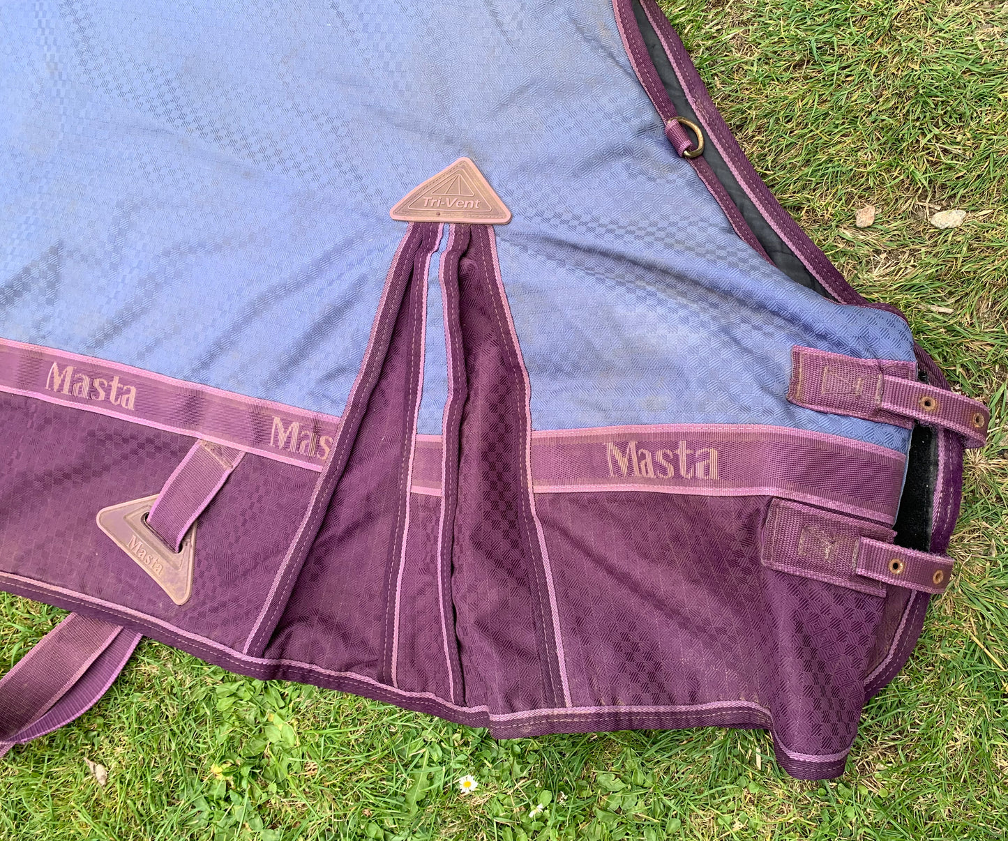 5’3 Masta heavyweight turnout rug