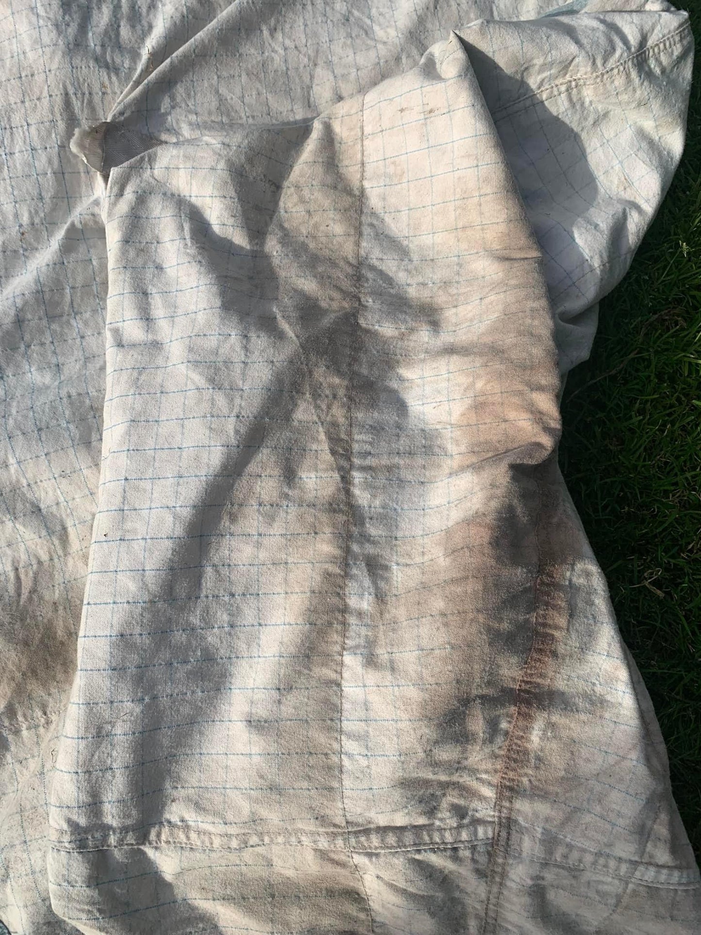 6’3 summer sweet itch rug