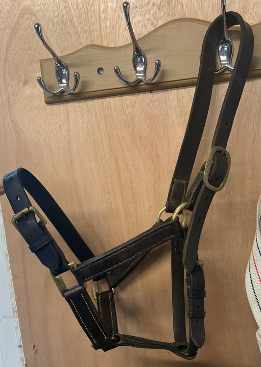 Brown large pony/cob leather headcollar with brass fittings
