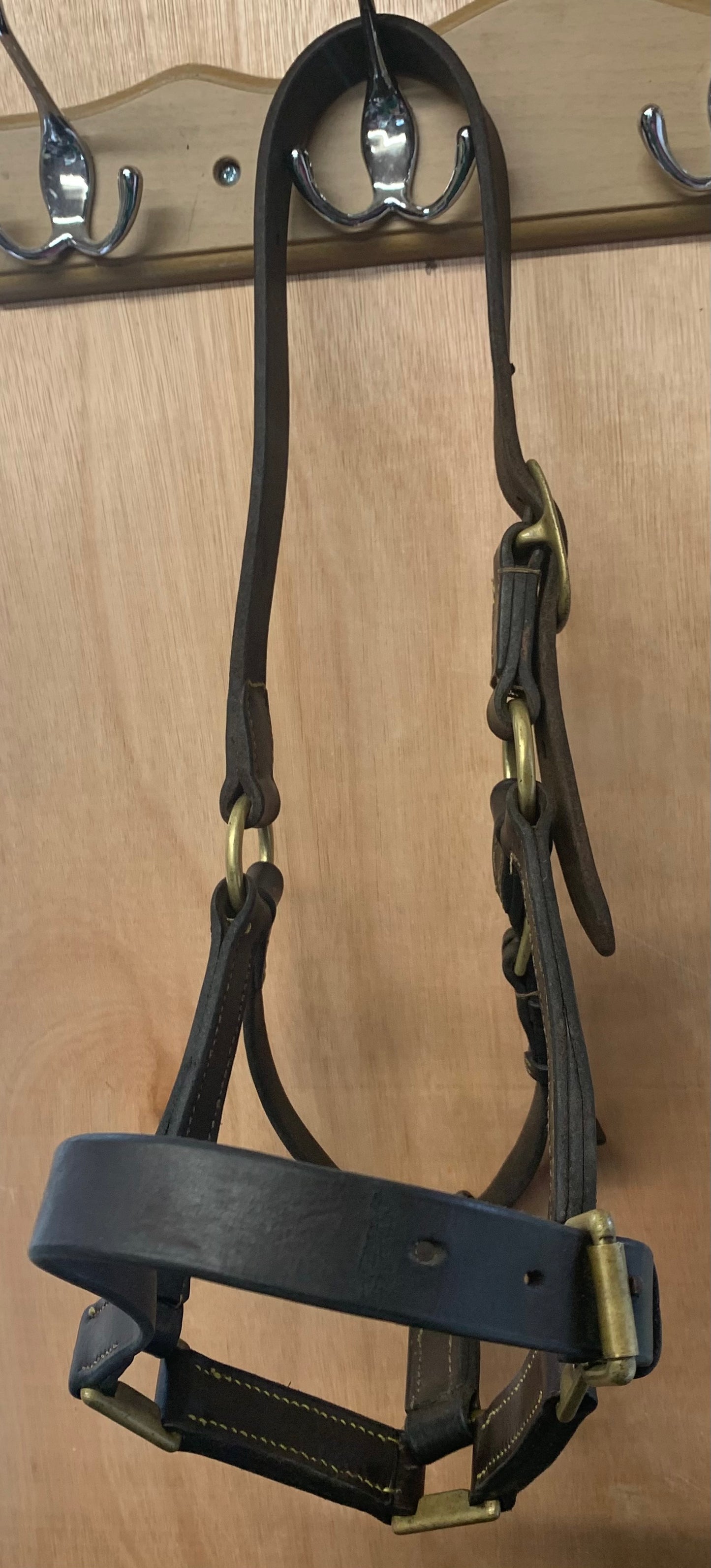 Brown large pony/cob leather headcollar with brass fittings