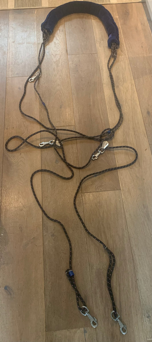 Bungee lunging aid