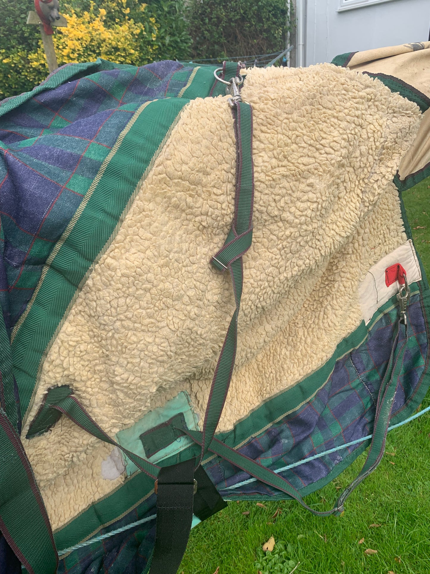 5’9 thick heavy weight Sherpa fleece lined world beater turnout rug ref2
