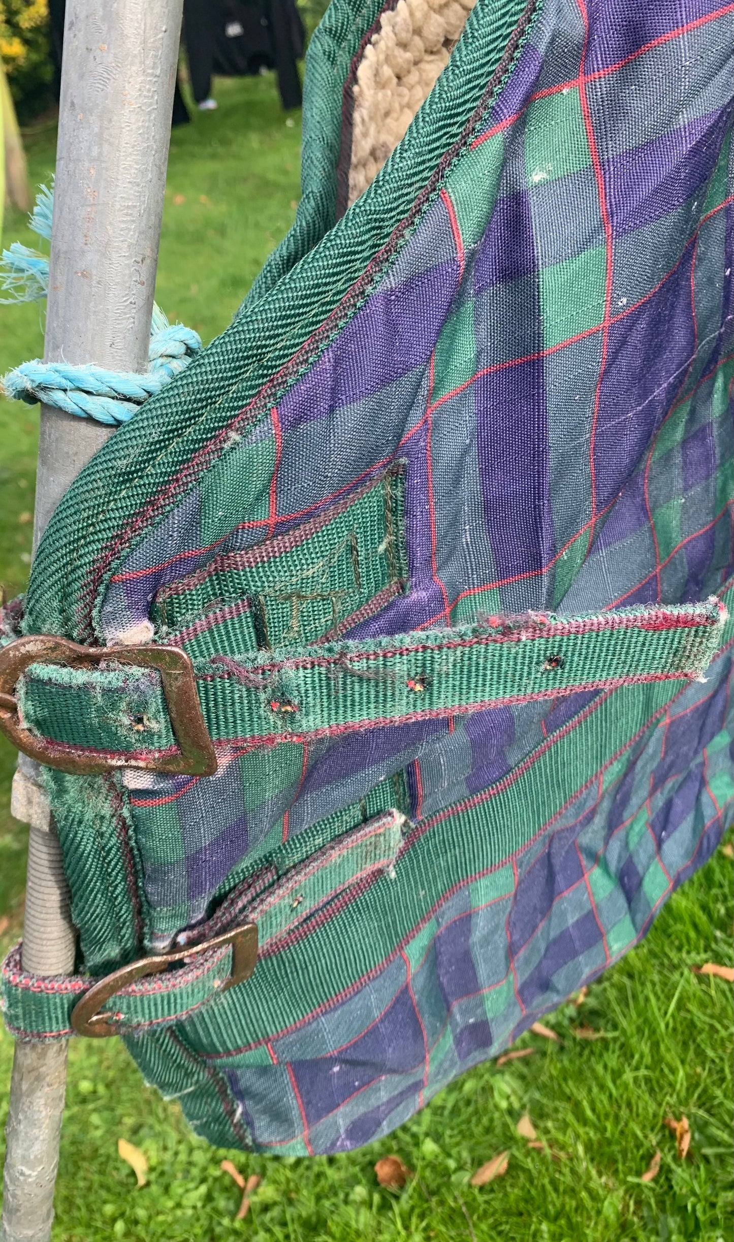 5’9 thick heavy weight Sherpa fleece lined world beater turnout rug ref3