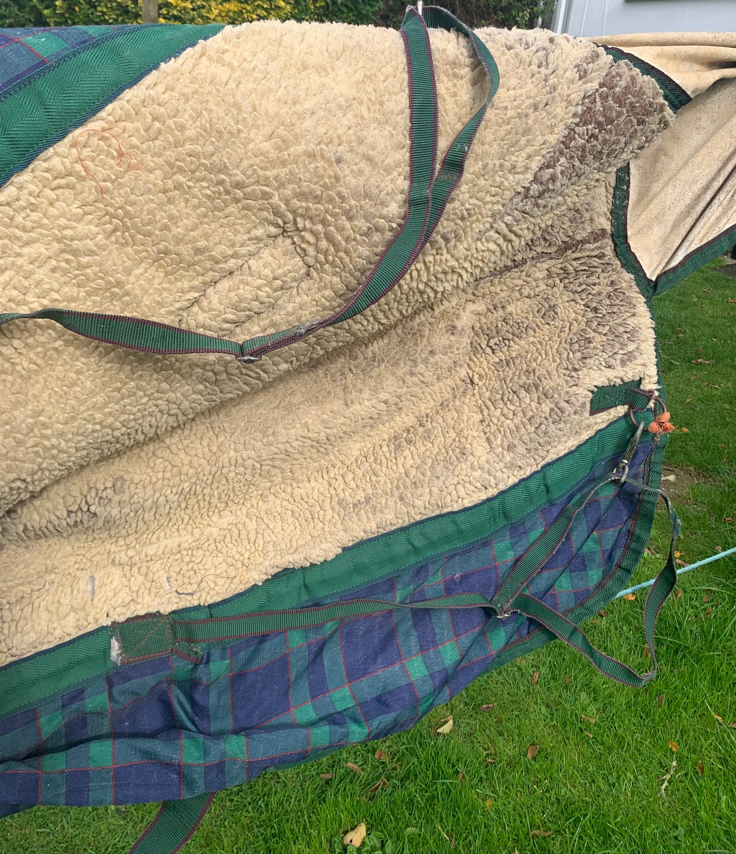 5’9 thick heavy weight Sherpa fleece lined world beater turnout rug ref3