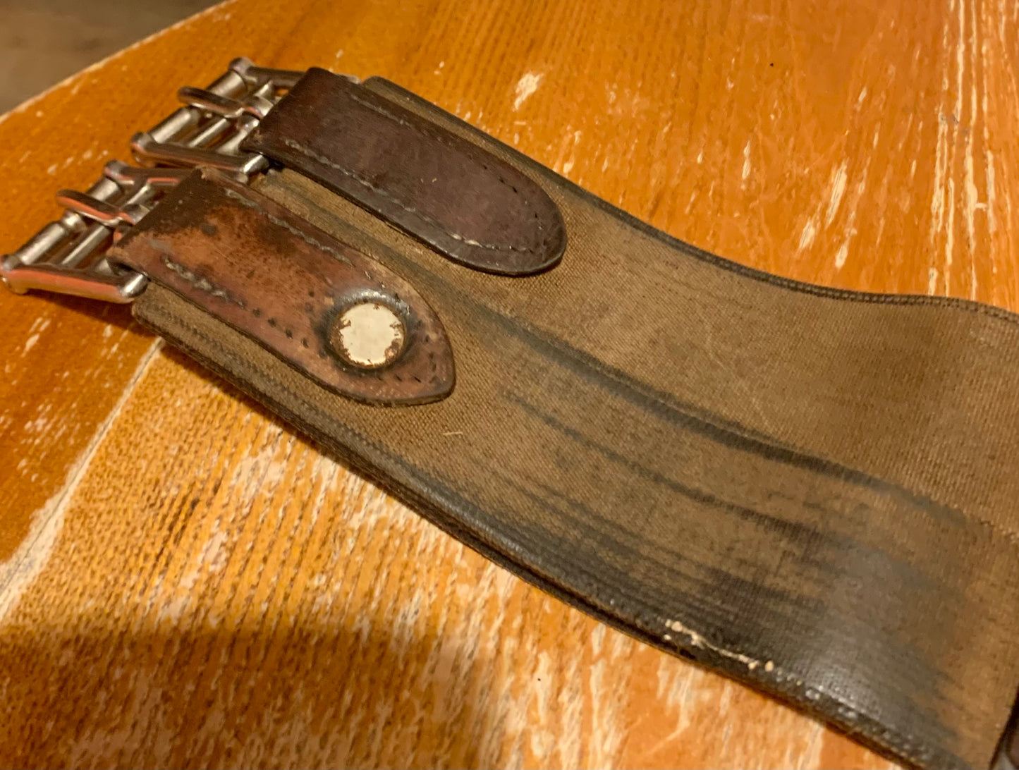 Mark todd brown 50” stud girth
